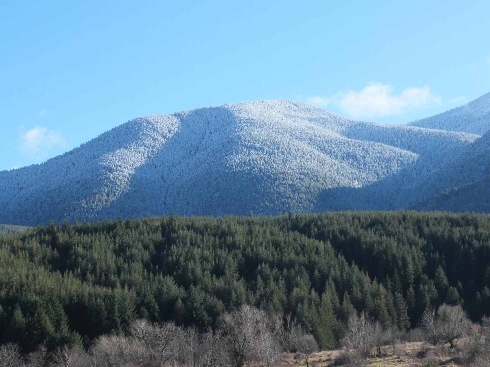 Pirin Heights A-21 Близо До Ски Пистата Bansko Eksteriør bilde